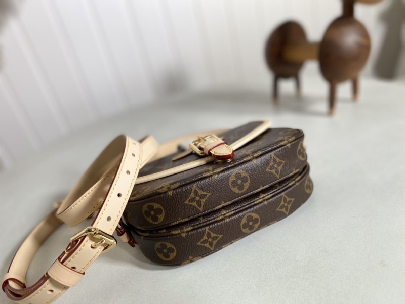 LV Satchel bags